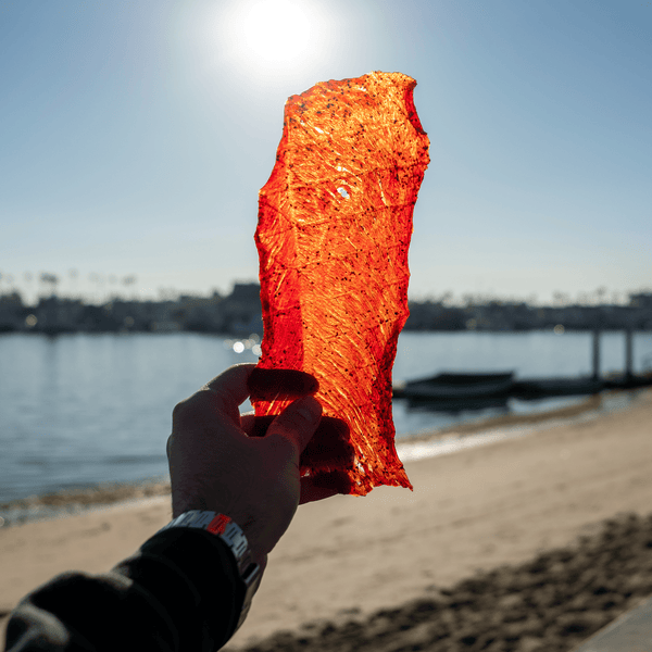 Someone holding a slab of beef jerky on the beach with the sun shining through. 